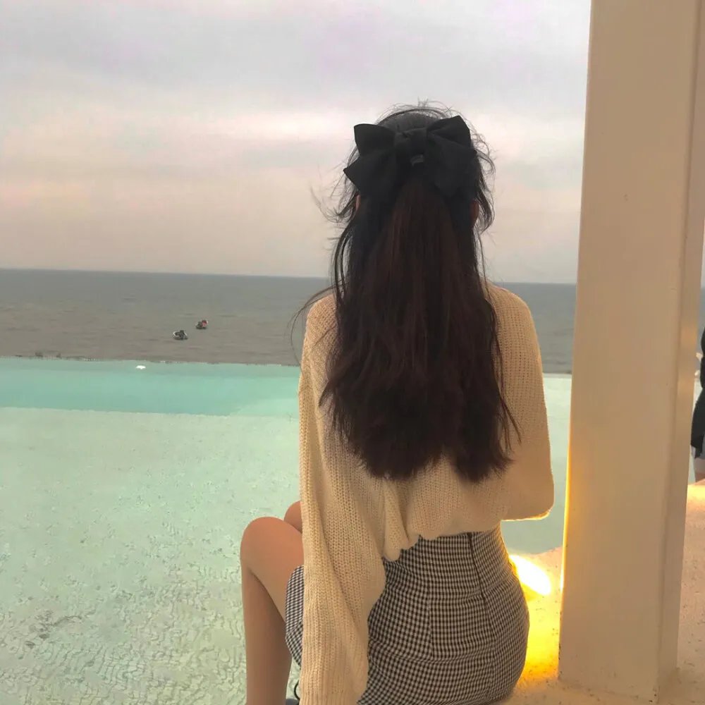 海豚之眼
